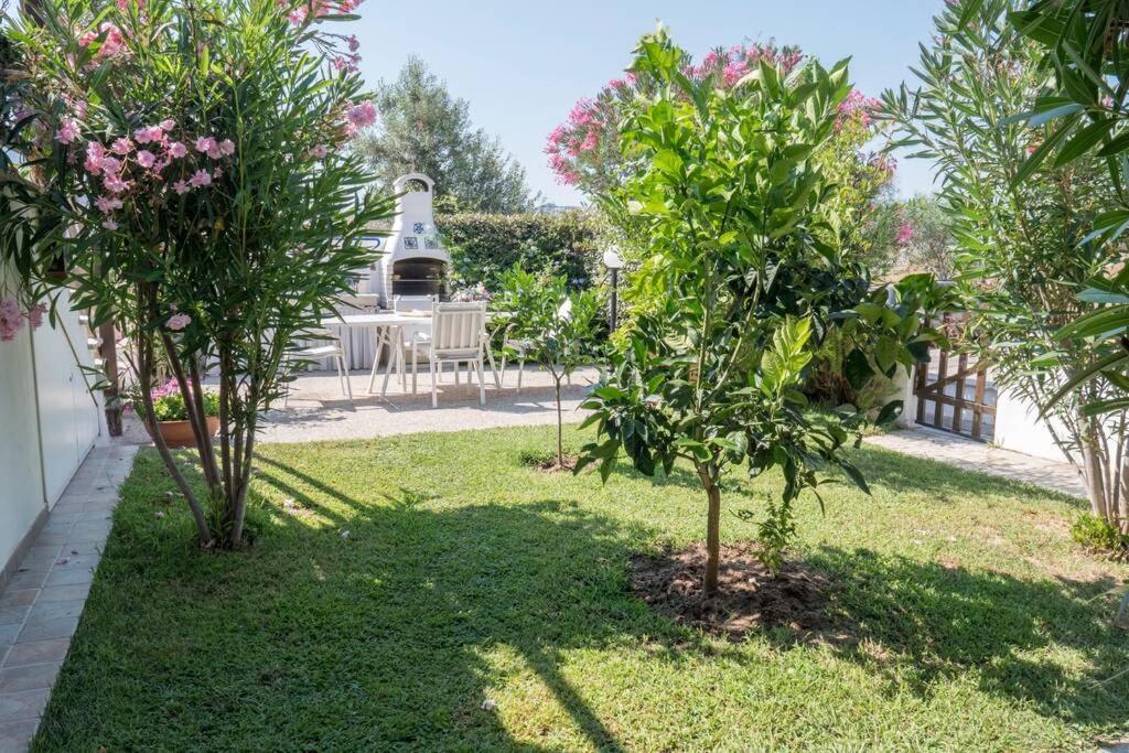 شقة Casa Francesca Viddalba المظهر الخارجي الصورة